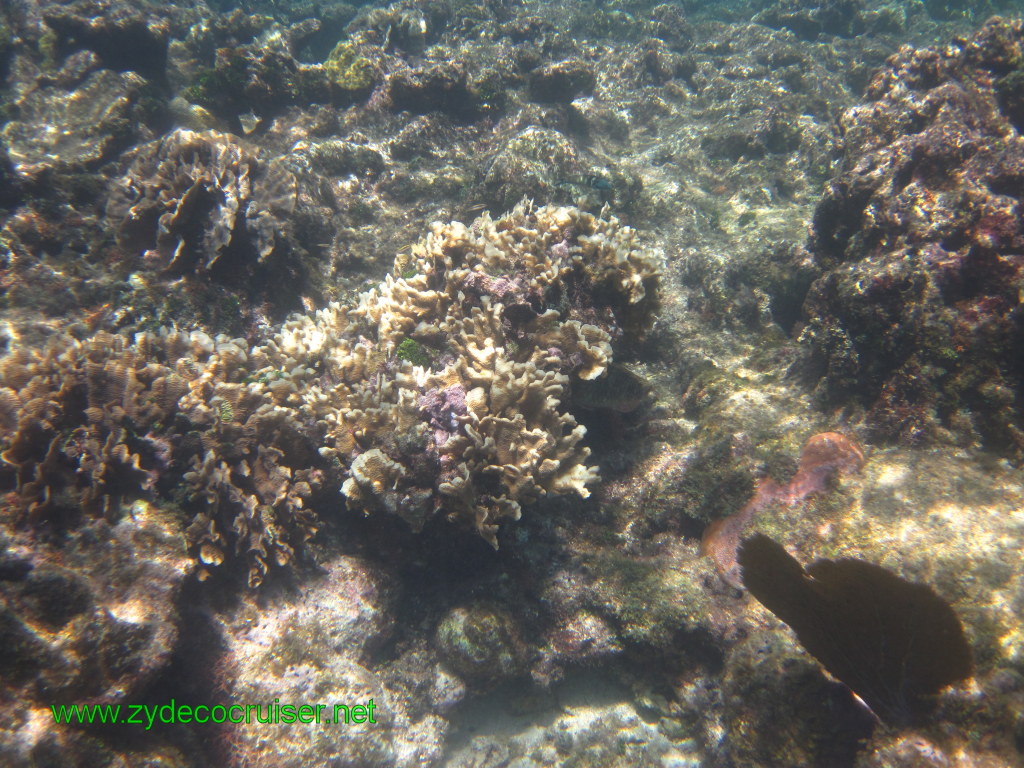 124: Carnival Conquest, Nov 17, 2011, Roatan, Victor Bodden Tour, Snorkeling, 