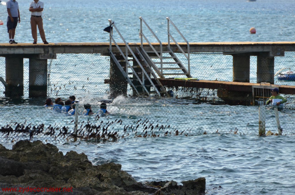 322: Carnival Conquest, Cozumel, Chankanaab, Dolphins, 