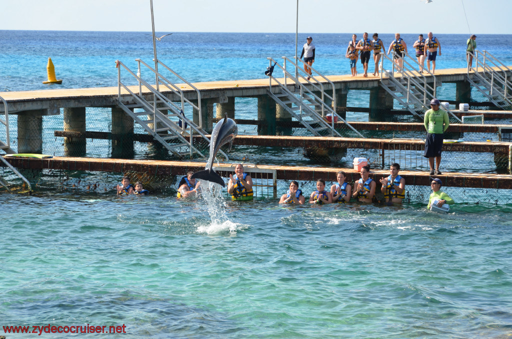 328: Carnival Conquest, Cozumel, Chankanaab, Dolphins, 