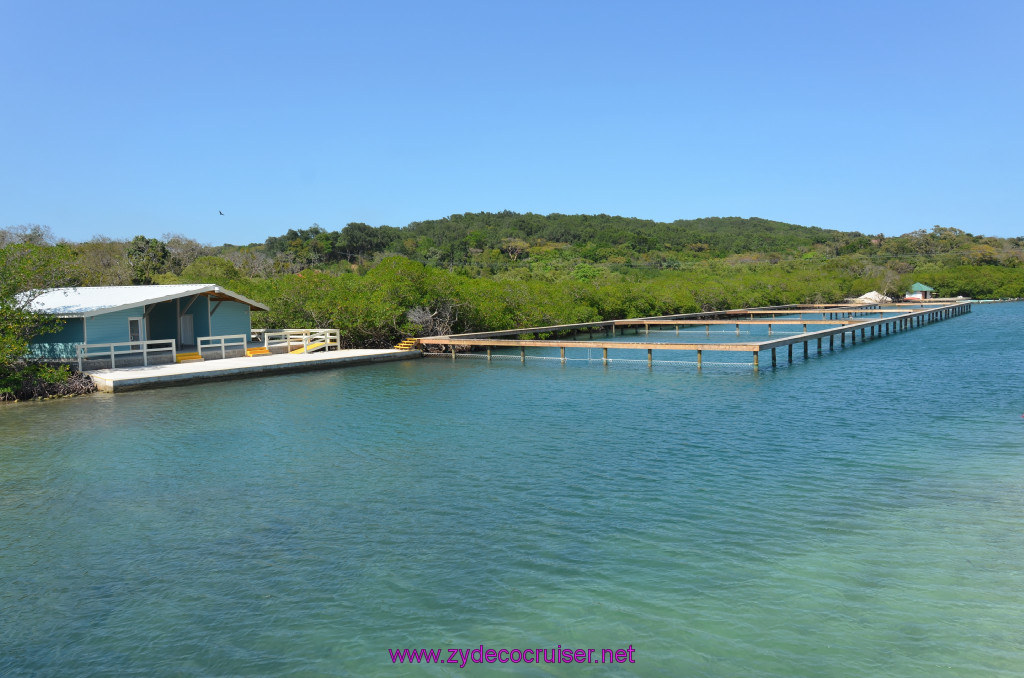 264: Carnival Conquest Cruise, Roatan, 