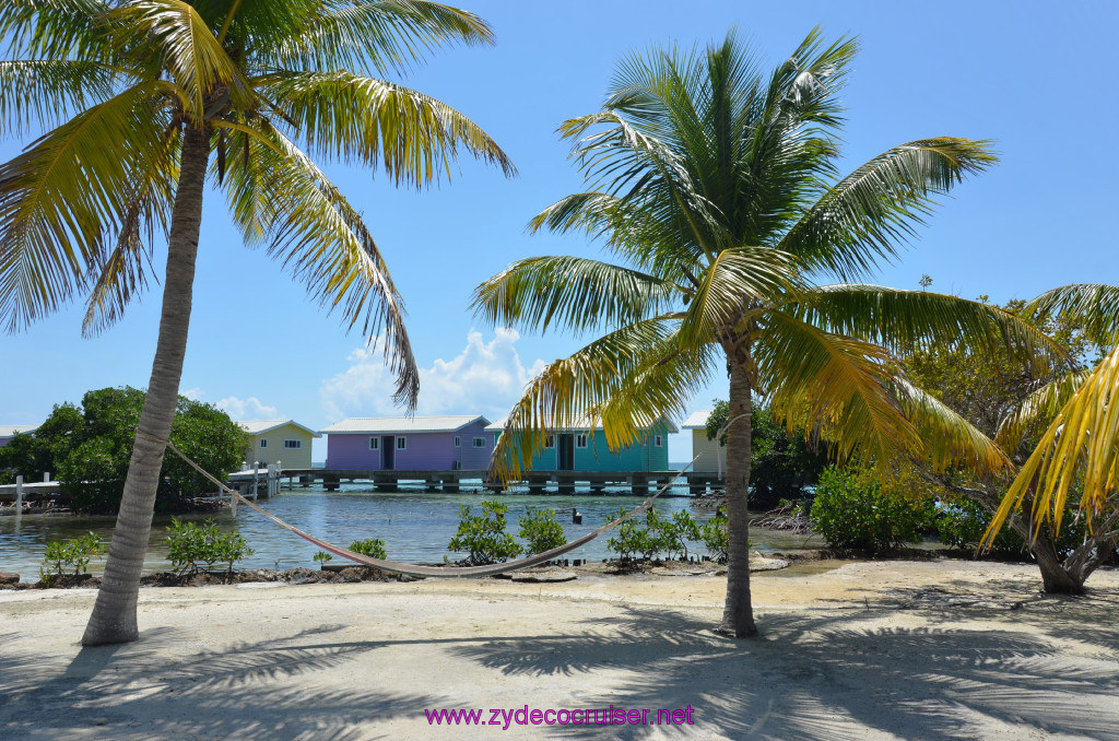 041: Carnival Conquest Cruise, Belize, Sergeant's Cay Snorkel