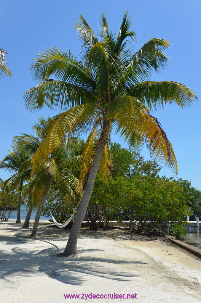 042: Carnival Conquest Cruise, Belize, Sergeant's Cay Snorkel