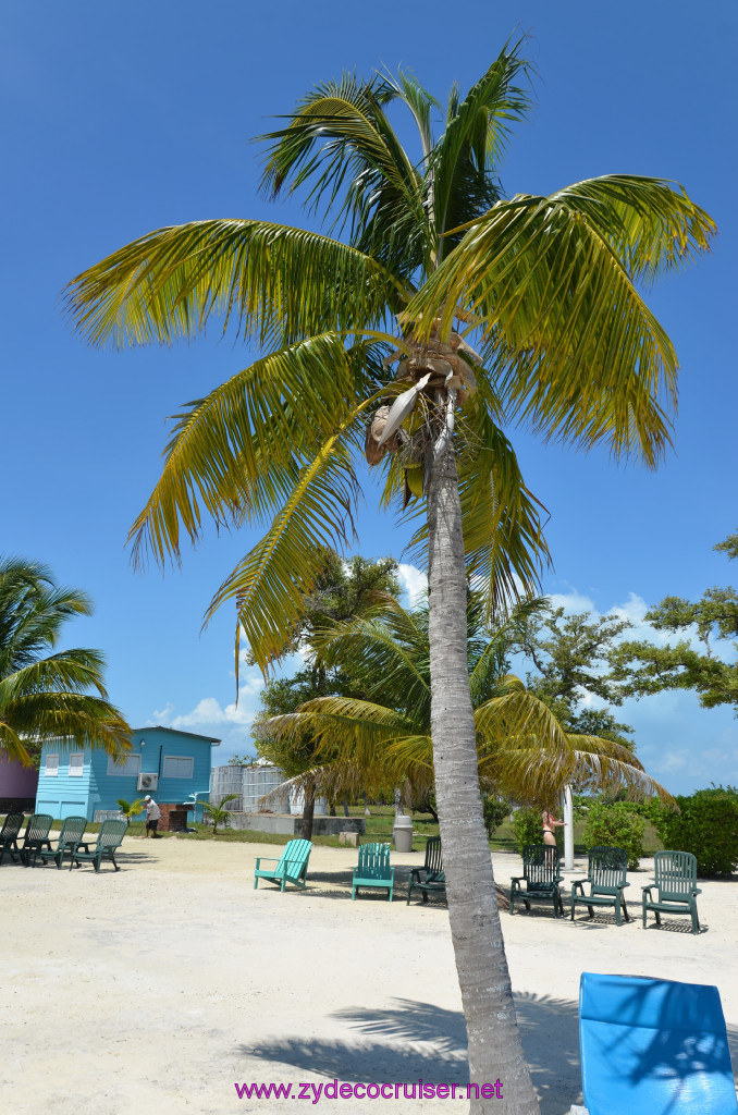 046: Carnival Conquest Cruise, Belize, Sergeant's Cay Snorkel