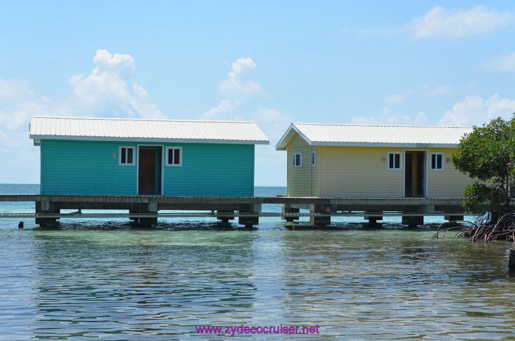 053: Carnival Conquest Cruise, Belize, Sergeant's Cay Snorkel