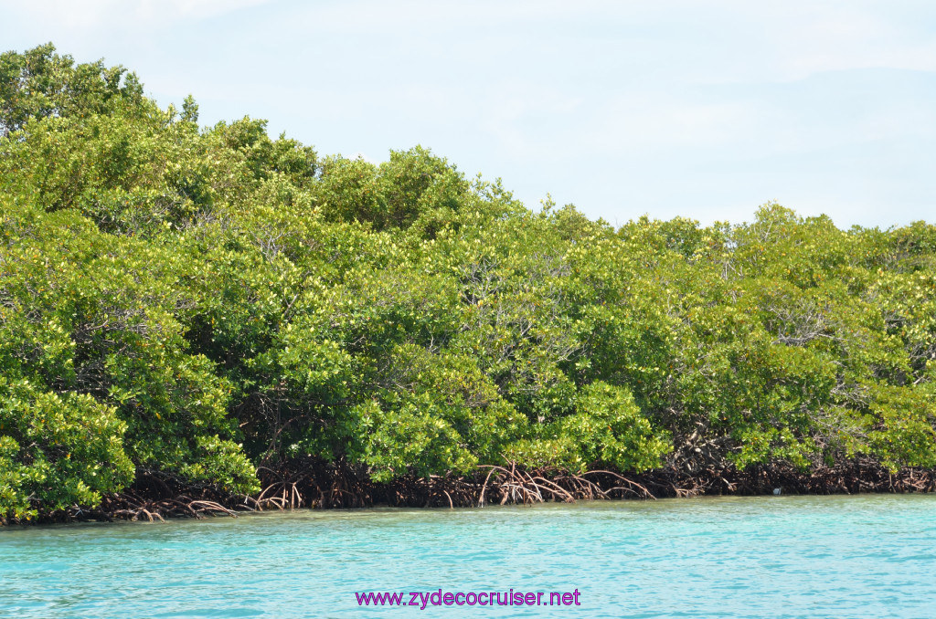 082: Carnival Conquest Cruise, Belize, Sergeant's Cay Snorkel