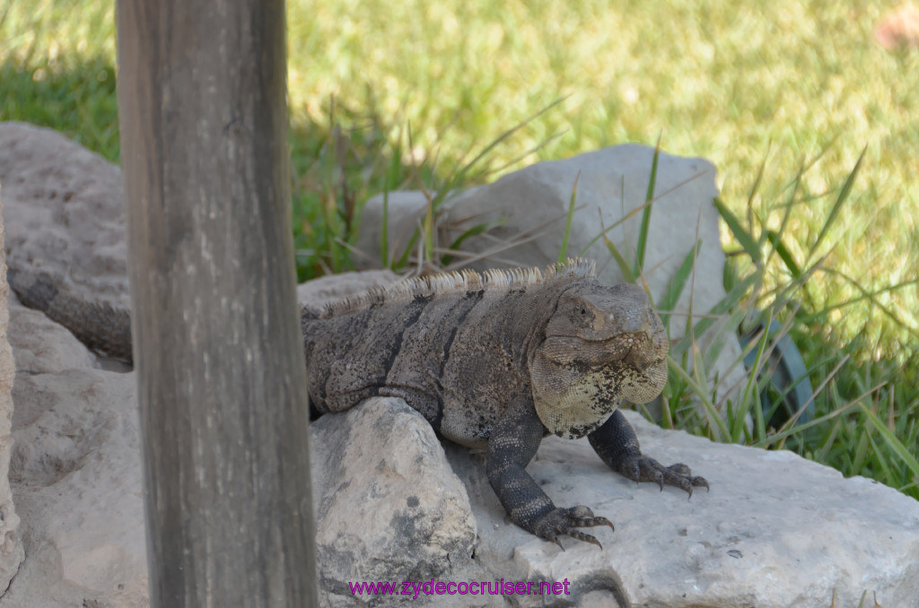 173: Carnival Conquest Cruise, 2013, Cozumel, Tulum, 