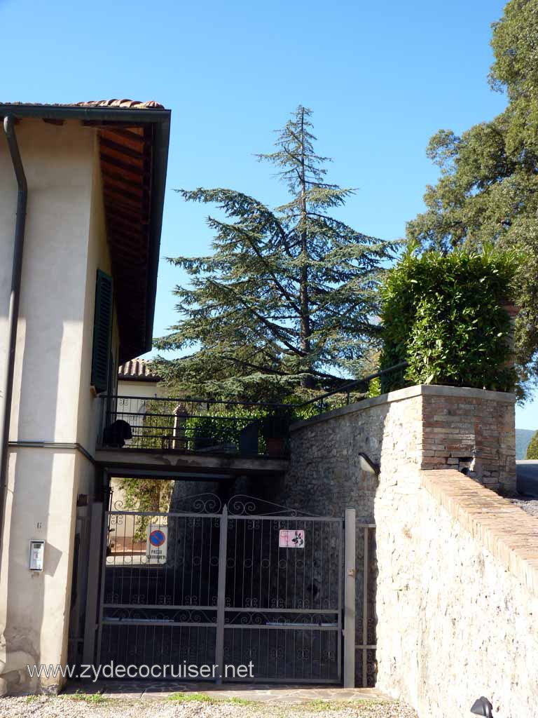 6376: Carnival Dream, Livorno - Beautiful Tuscany - San Gimignano