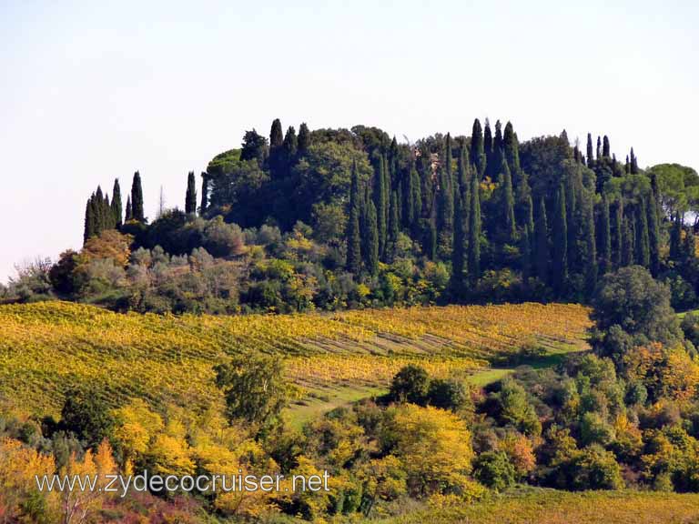 6536: Carnival Dream, Livorno - Beautiful Tuscany - Sovestro in Poggio