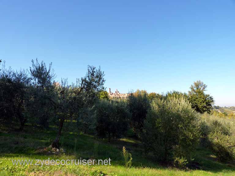 6553: Carnival Dream, Livorno - Beautiful Tuscany - Sovestro in Poggio - View of San Gimignano