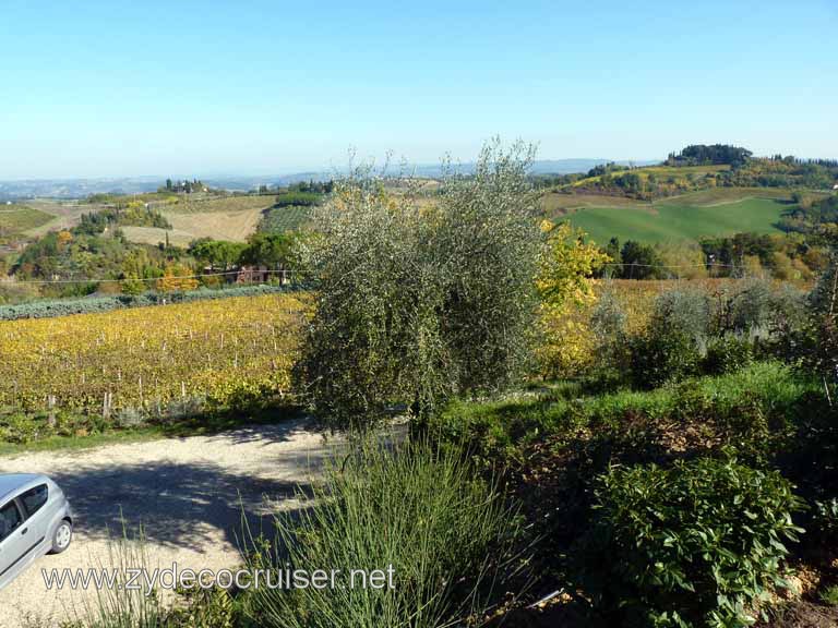 6554: Carnival Dream, Livorno - Beautiful Tuscany - Sovestro in Poggio