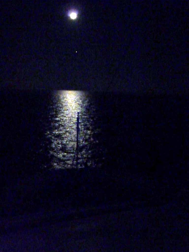 0006: Carnival Dream - Moony and tired like my eyes