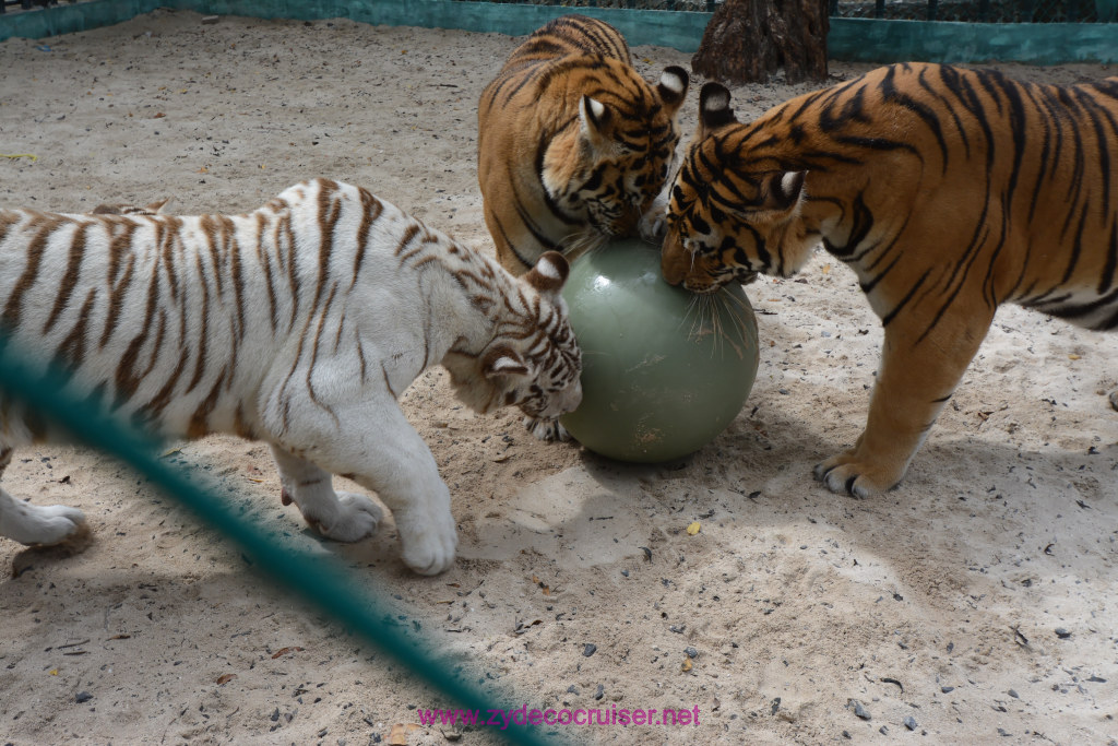 088: Carnival Dream Cruise, Roatan, Little French Key, 