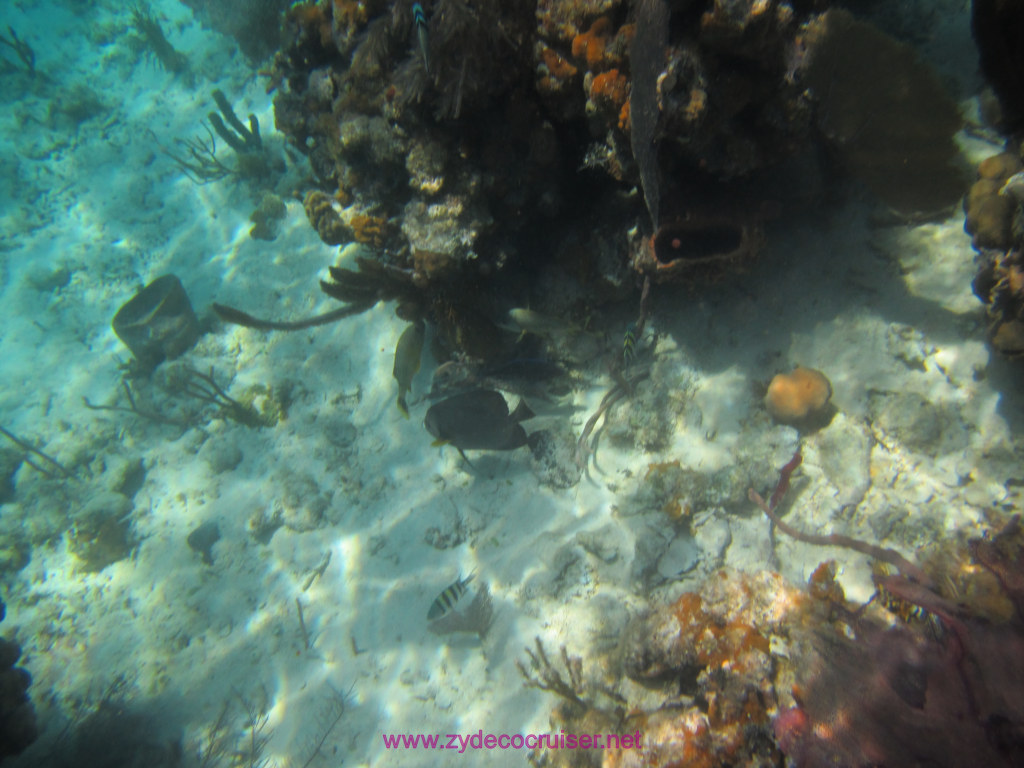 034: Carnival Dream Cruise, Belize, 