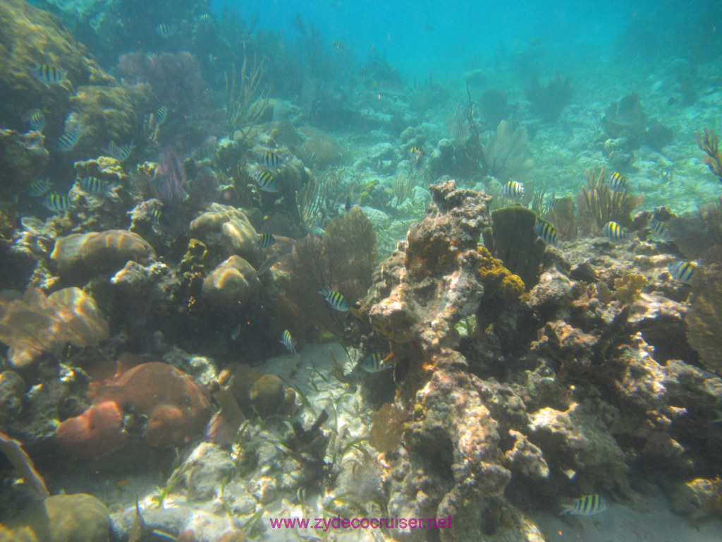 047: Carnival Dream Cruise, Belize, 