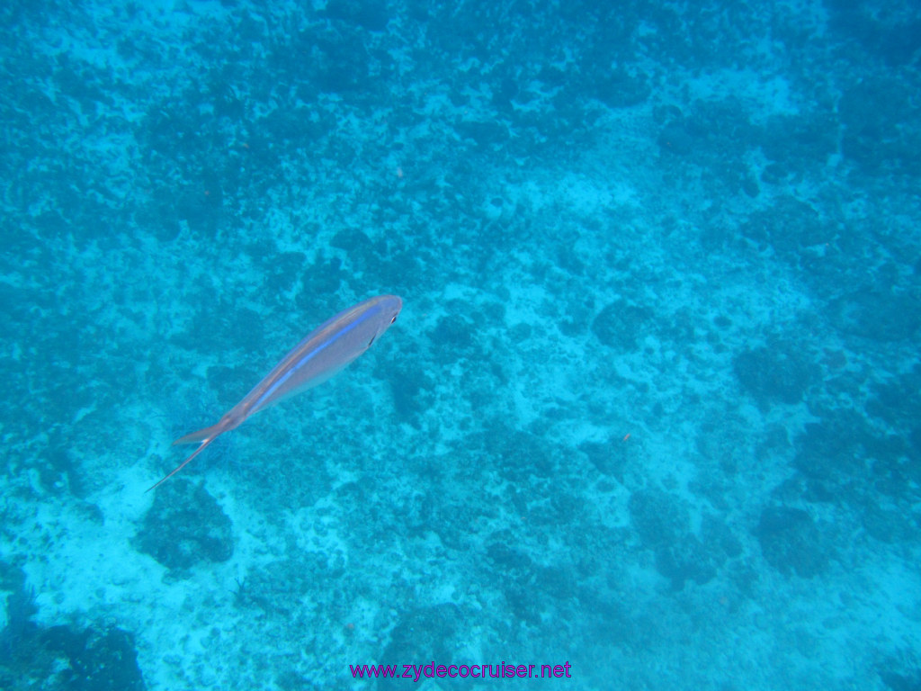 019: Carnival Dream Reposition Cruise, Cozumel, Catamaran Sail and Snorkel, 