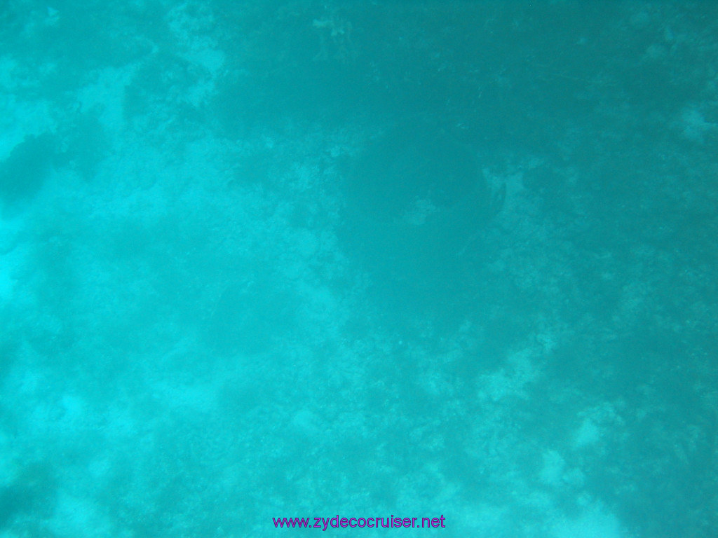 171: Carnival Elation 2004 Cruise, Cozumel, Eagle Ray Divers, 3 Reef Snorkel Tour, 