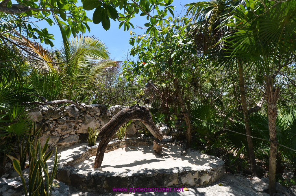132: Carnival Elation Cruise, Cozumel, Cozumel Bar Hop, Coconuts, 