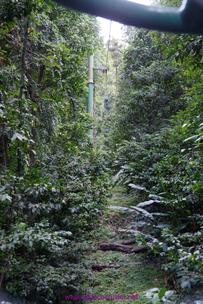 077: Carnival Freedom Reposition Cruise, St Lucia, Rain Forest Aerial Tram Adventure, 