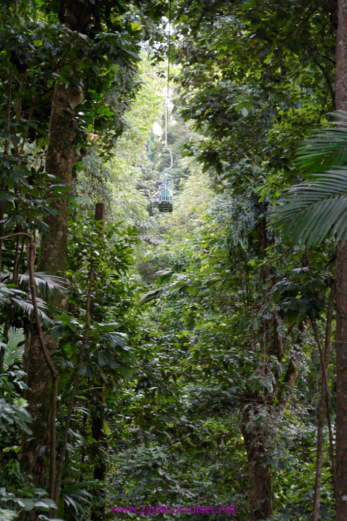 108: Carnival Freedom Reposition Cruise, St Lucia, Rain Forest Aerial Tram Adventure, 