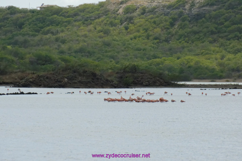 174: Carnival Freedom Reposition Cruise, Curacao, Private tour arranged with Petertrips