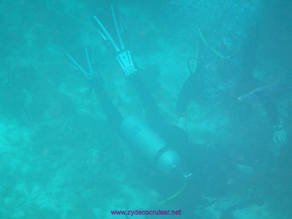 090: Carnival Freedom Reposition Cruise, Curacao, Private tour arranged with Petertrips