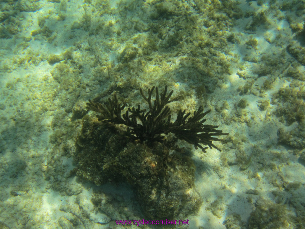 110: Carnival Freedom Reposition Cruise, Curacao, Private tour arranged with Petertrips