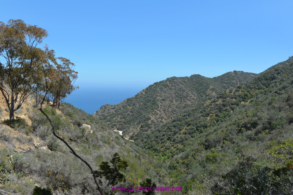 200: Carnival Imagination, Catalina, East End Adventure by Hummer, 