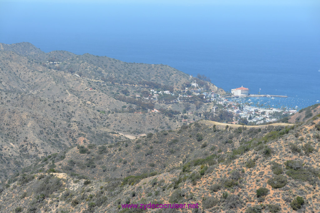 238: Carnival Imagination, Catalina, East End Adventure by Hummer, 