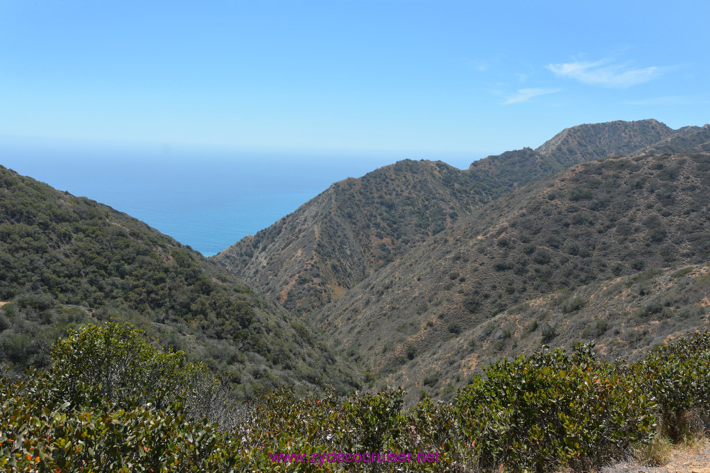256: Carnival Imagination, Catalina, East End Adventure by Hummer, 
