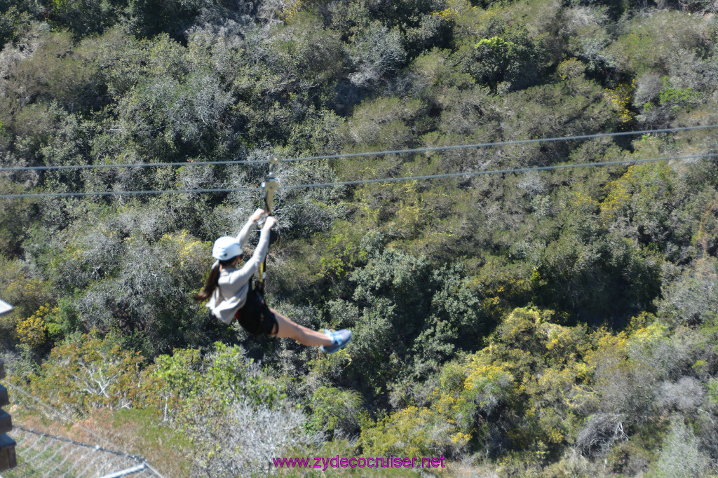 343: Carnival Imagination, Catalina, East End Adventure by Hummer, Zipline