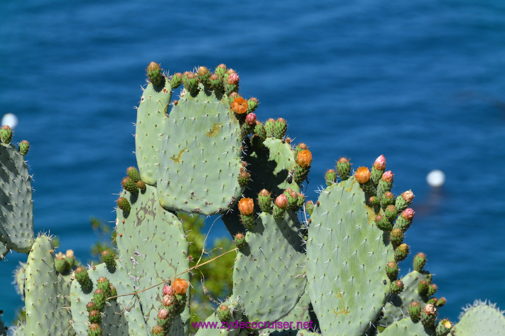 364: Carnival Imagination, Catalina, East End Adventure by Hummer, 