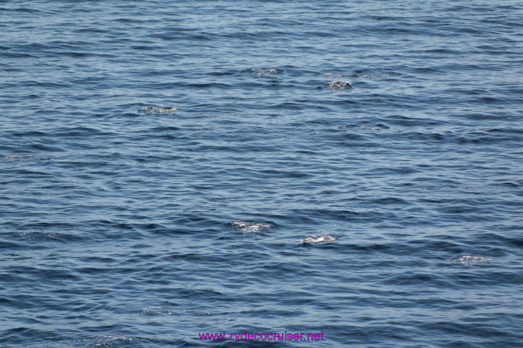385: Carnival Imagination, Catalina, 