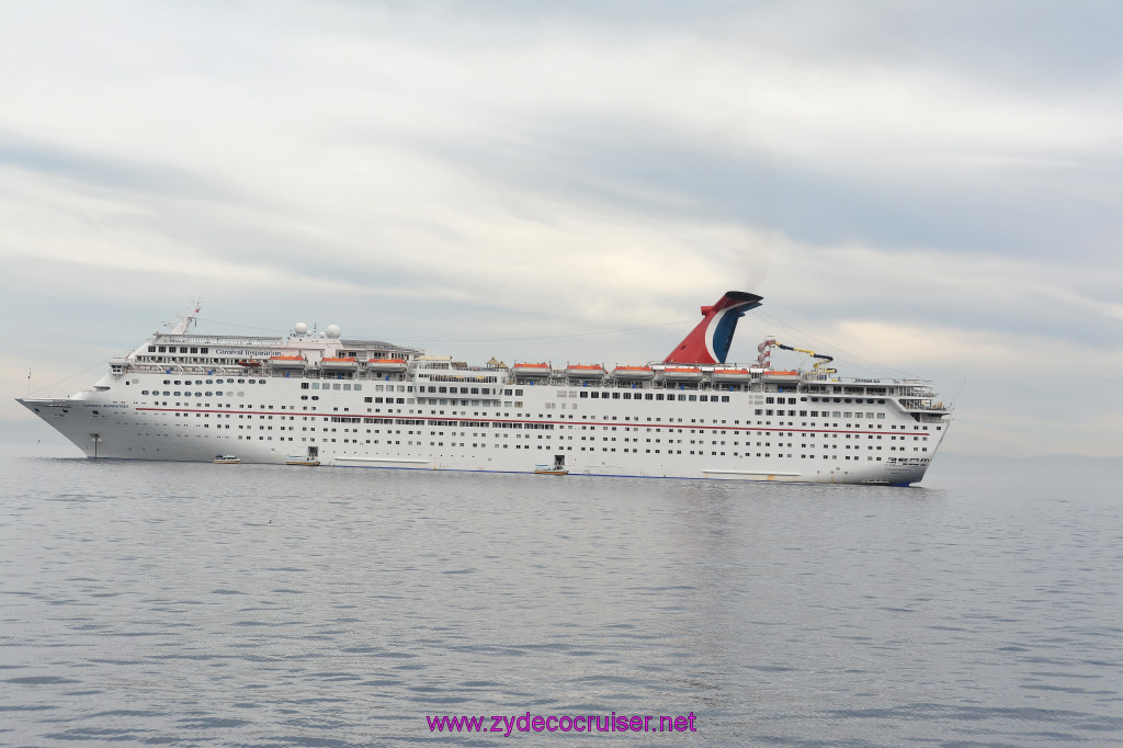 320: Carnival Inspiration, Catalina Island, Coastal Wild Dolphin Adventure, 