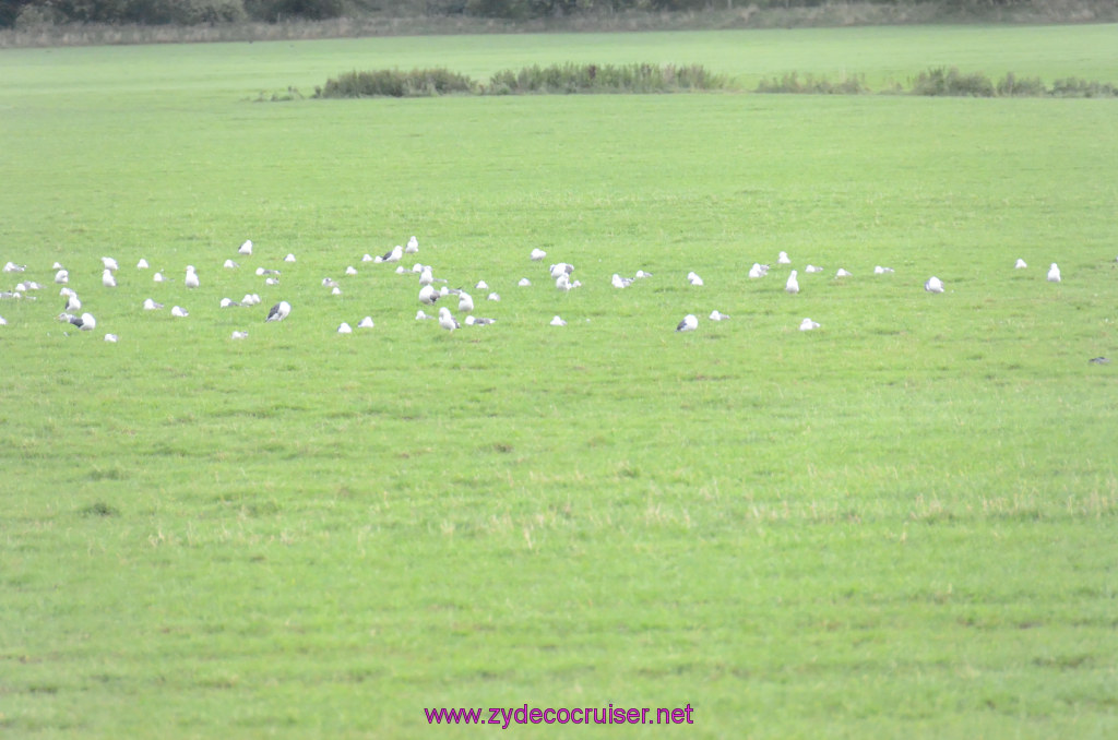 126: Carnival Legend, British Isles Cruise, Glasgow/Greenock,