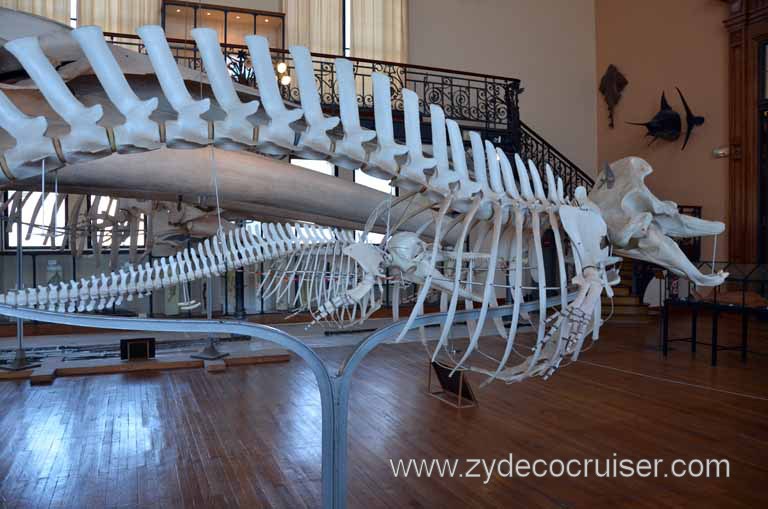 177: Carnival Magic Grand Mediterranean Cruise, Monte Carlo, Monaco, Oceanographic Museum and Aquarium
