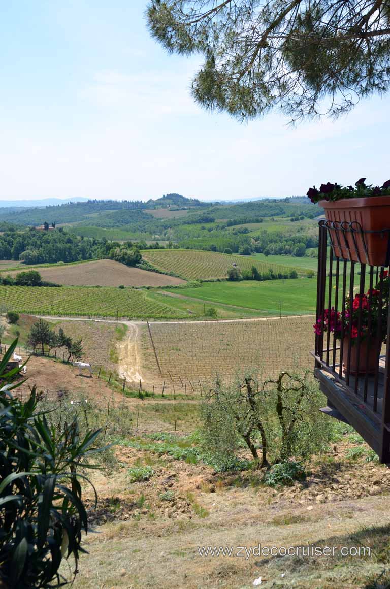 161: Carnival Magic, Mediterranean Cruise, Livorno, Essence of Tuscany Tour, Lunch, Fattoria Poggio Alloro,