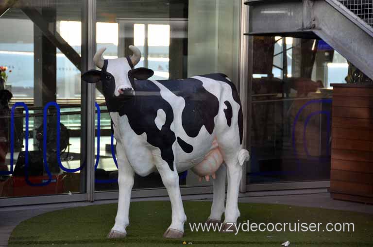 108: Carnival Magic, AMS (Amsterdam) Airport, Moo