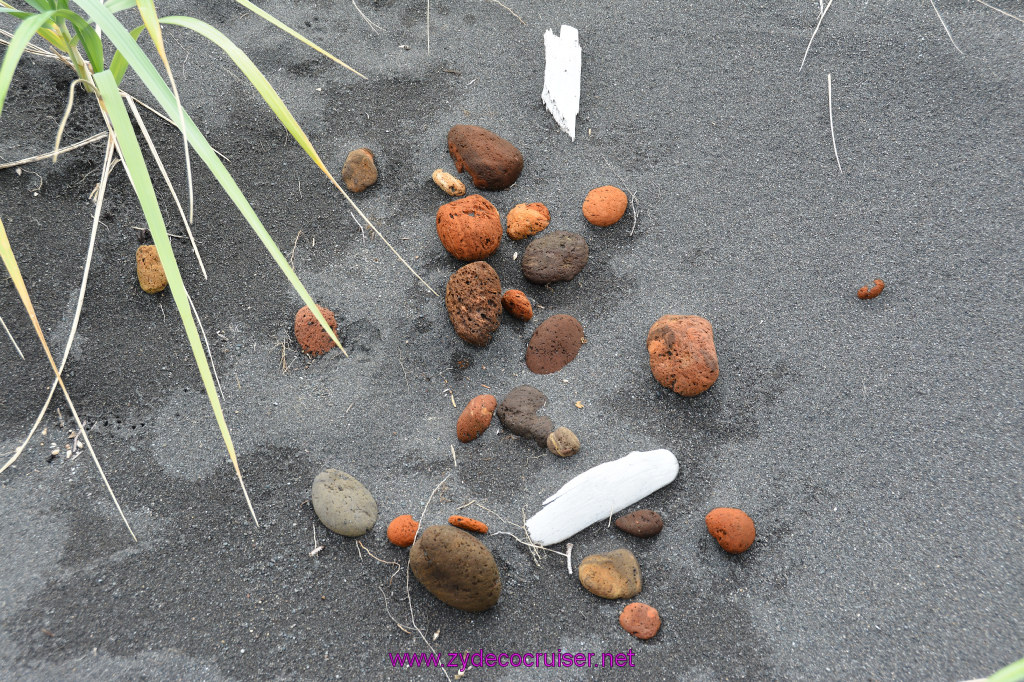 153: Carnival Miracle Alaska Cruise, Sitka, Jet Cat Wildlife Quest And Beach Exploration Excursion, 