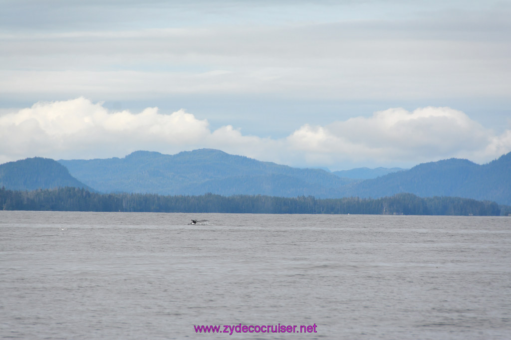 320: Carnival Miracle Alaska Cruise, Sitka, Jet Cat Wildlife Quest And Beach Exploration Excursion, 
