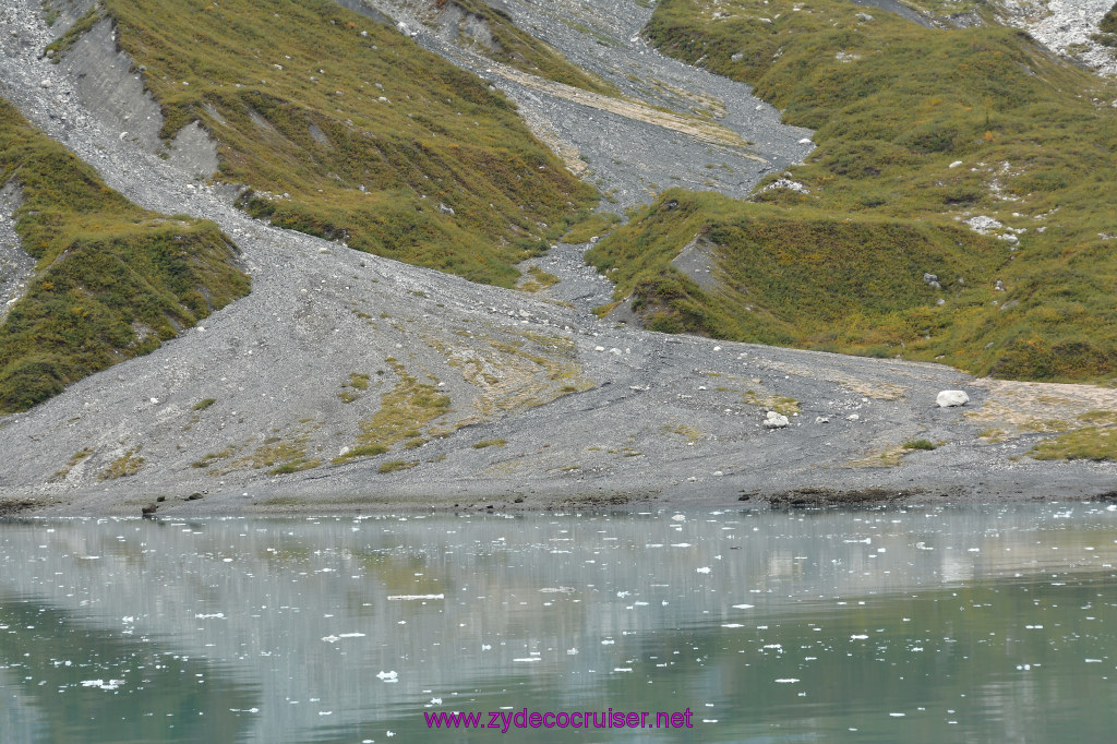 225: Carnival Miracle Alaska Cruise, Glacier Bay, 