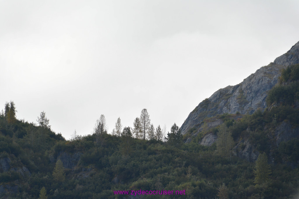 251: Carnival Miracle Alaska Cruise, Glacier Bay, 