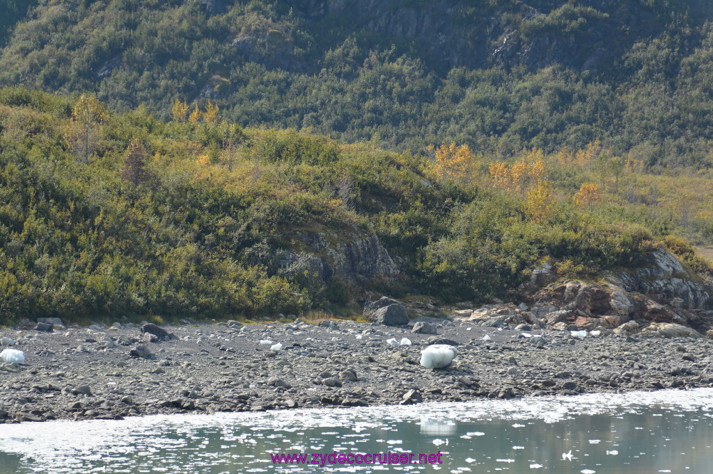 282: Carnival Miracle Alaska Cruise, Glacier Bay, 