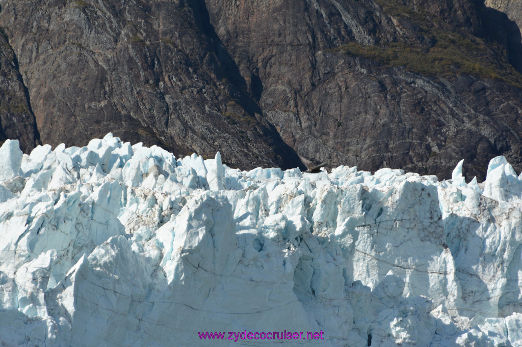 289: Carnival Miracle Alaska Cruise, Glacier Bay, 