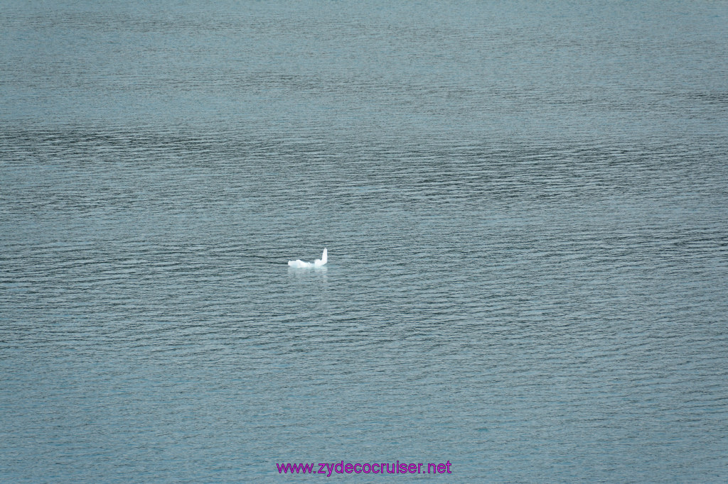 370: Carnival Miracle Alaska Cruise, Glacier Bay, 