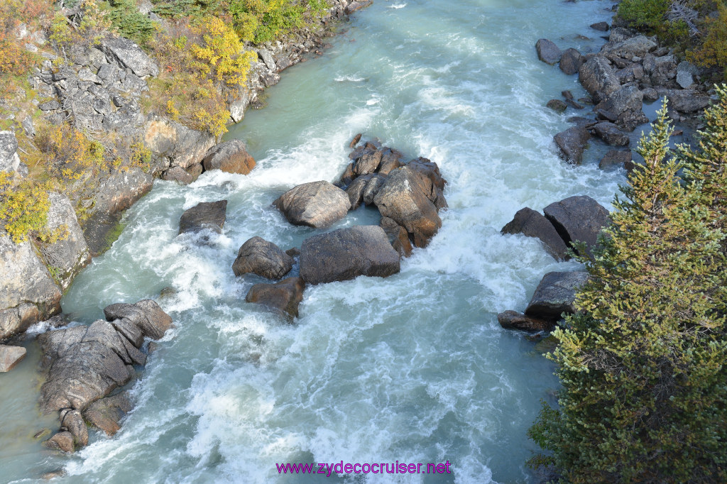 189: Carnival Miracle Alaska Cruise, Skagway, Klondike Summit, Suspension Bride, and Salmon Bake