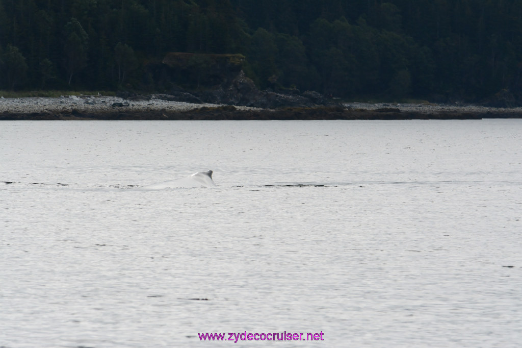 099: Carnival Miracle Alaska Cruise, Juneau, 