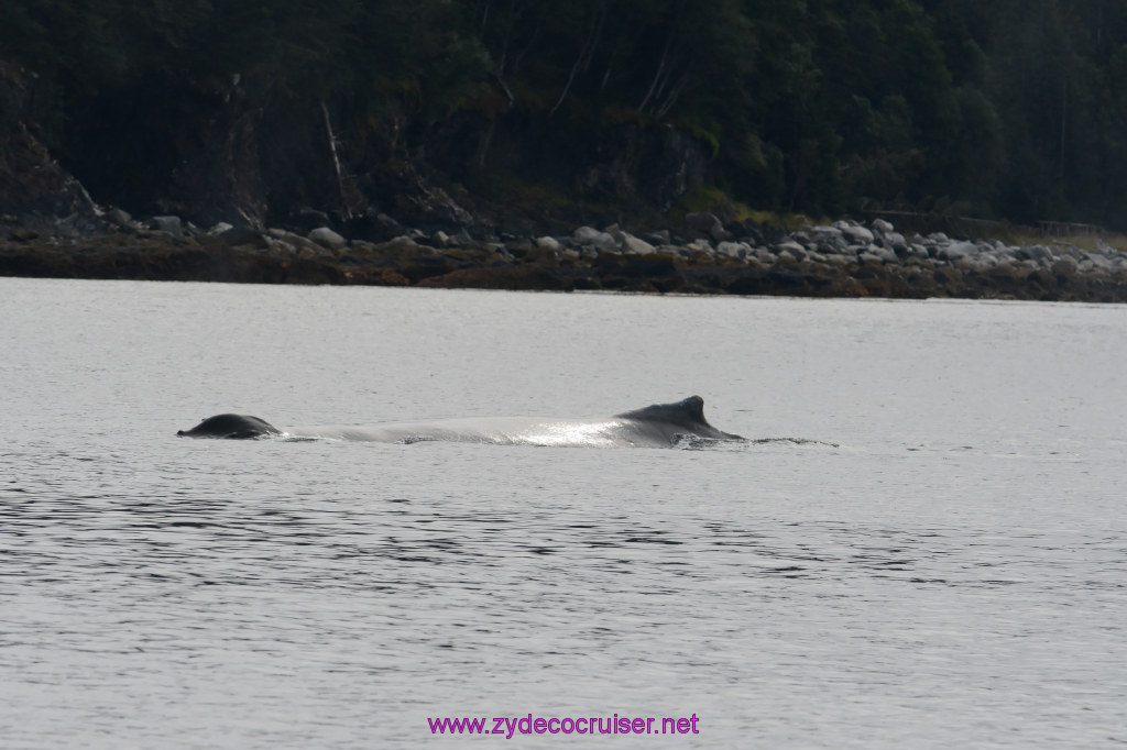 107: Carnival Miracle Alaska Cruise, Juneau, 