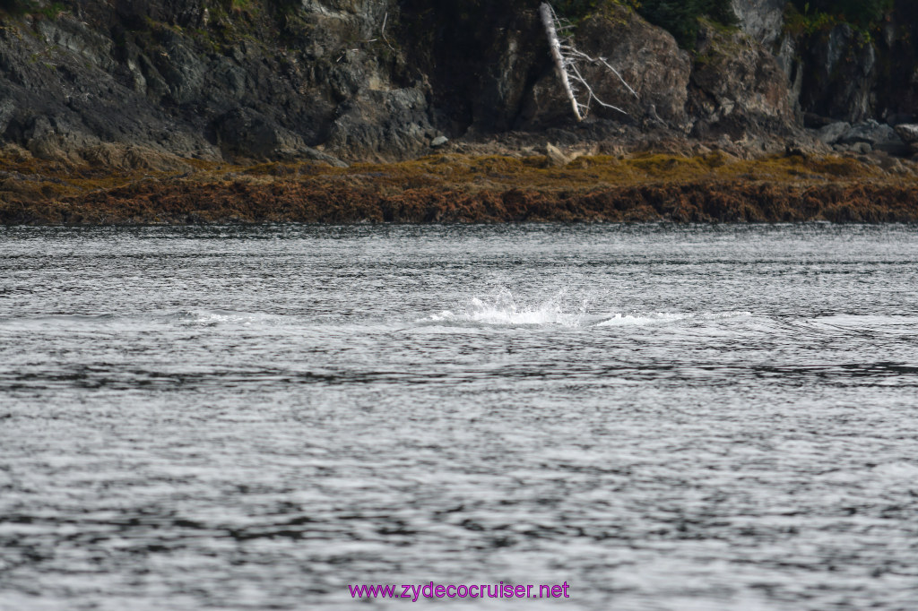 135: Carnival Miracle Alaska Cruise, Juneau, Harv and Marv's Whale Watching, 