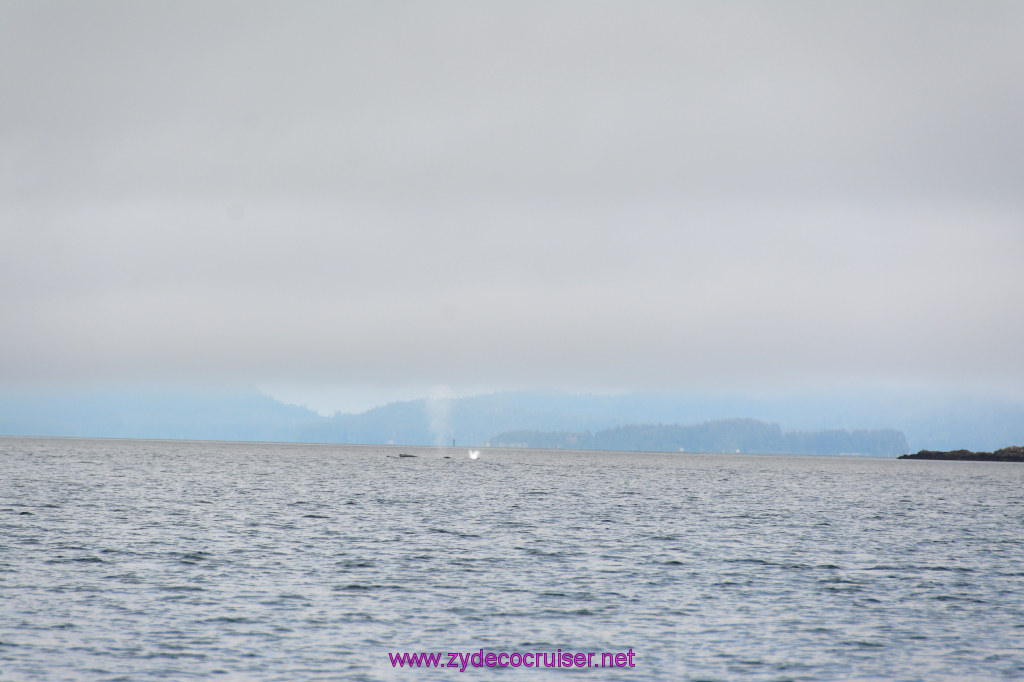 316: Carnival Miracle Alaska Cruise, Juneau, Harv and Marv's Whale Watching, 