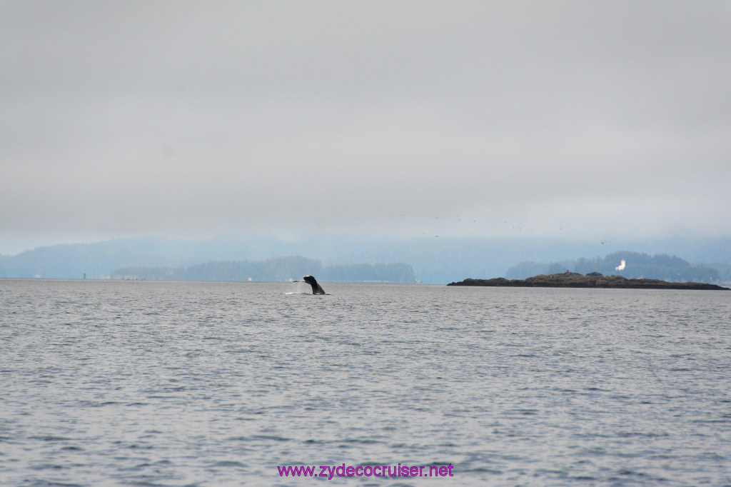 327: Carnival Miracle Alaska Cruise, Juneau, Harv and Marv's Whale Watching, 